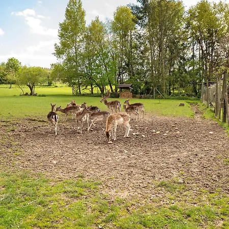 Gaestehaus Muehlenhof - Spaetburgunder Apartment