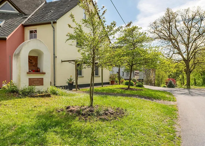 Mühlenhof - Spätburgunder Maring-Noviand