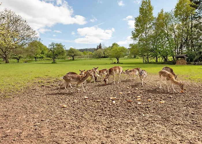 Apartamento Mühlenhof - Spätburgunder
