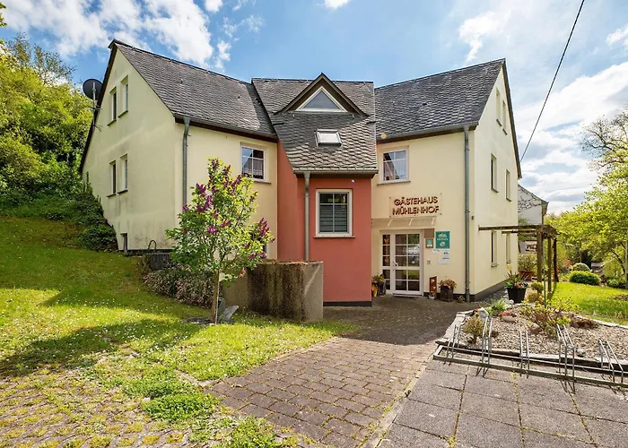 Mühlenhof - Spätburgunder Maring-Noviand